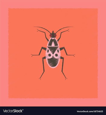 Flat shading style soldier bug vector image