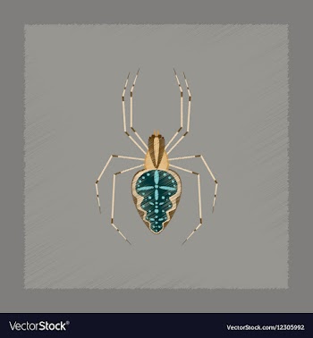 Flat shading style spider Araneus vector image
