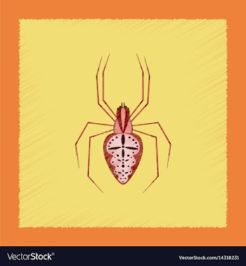 Flat shading style spider araneus vector image