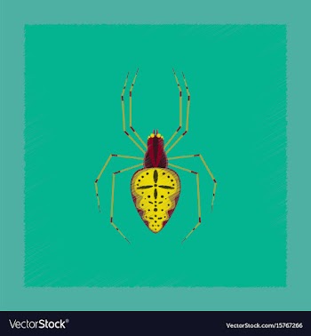 Flat shading style spider araneus vector image