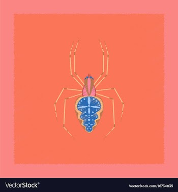 Flat shading style spider araneus vector image