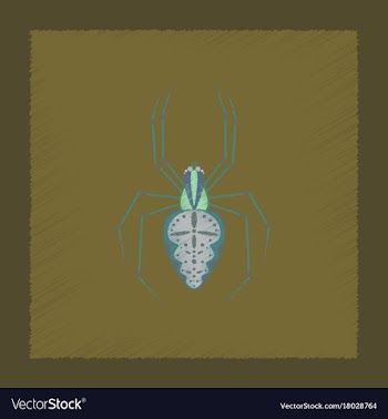 Flat shading style spider araneus vector image