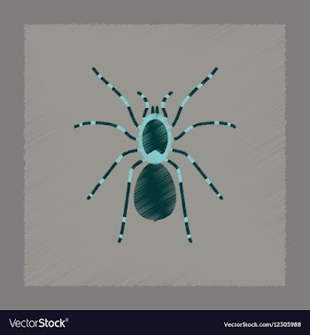 Flat shading style spider tarantula vector image