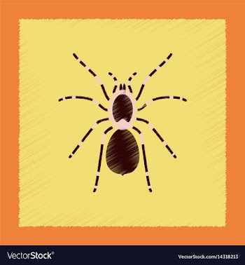 Flat shading style spider tarantula vector image