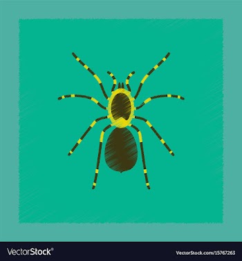 Flat shading style spider tarantula vector image