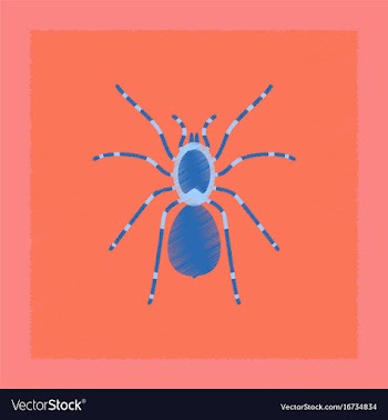 Flat shading style spider tarantula vector image