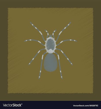 Flat shading style spider tarantula vector image