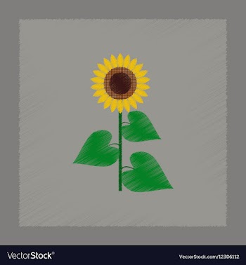 Flat shading style sunflower vector image