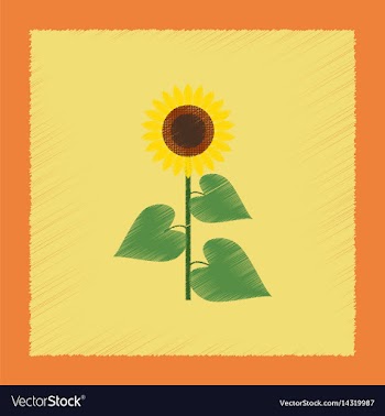Flat shading style sunflower vector image