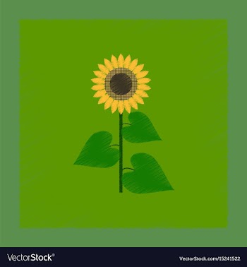Flat shading style sunflower vector image