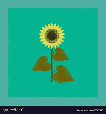 Flat shading style sunflower vector image