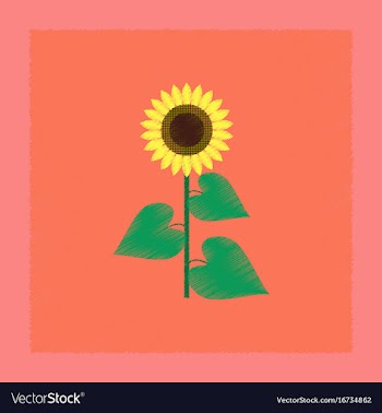Flat shading style sunflower vector image