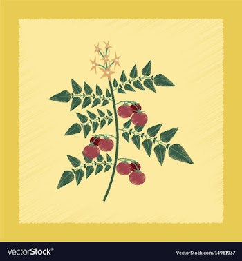Flat shading style tomato plant vector image