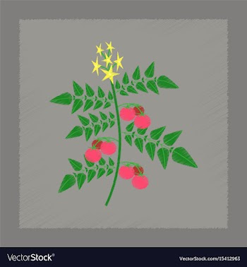 Flat shading style tomato plant vector image