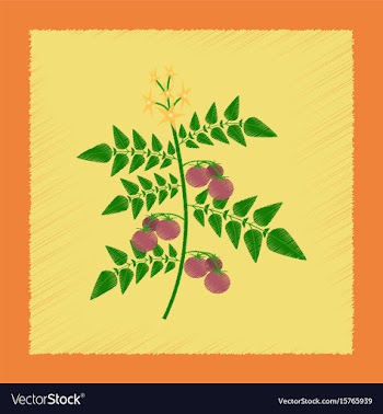Flat shading style tomato plant vector image
