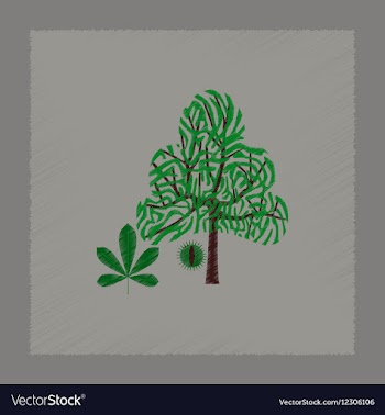 Flat shading style tree Castanea vector image