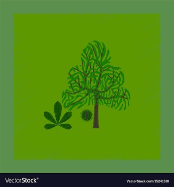Flat shading style tree castanea vector image
