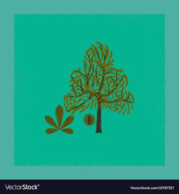 Flat shading style tree castanea vector image