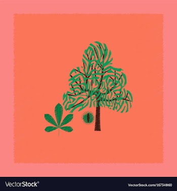 Flat shading style tree castanea vector image