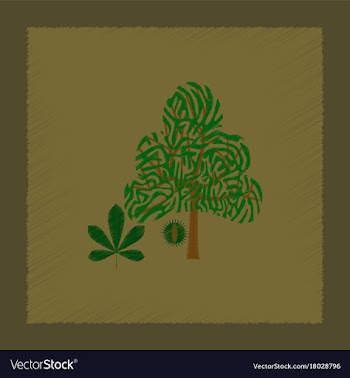 Flat shading style tree castanea vector image