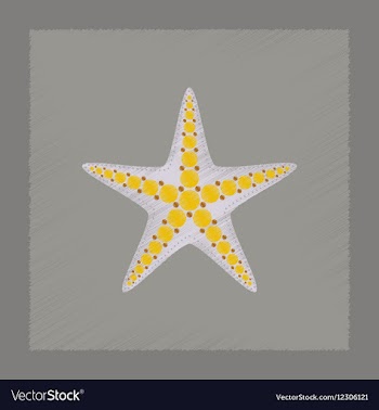 Flat shading style tropical starfish vector image