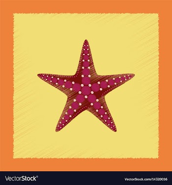 Flat shading style tropical starfish vector image