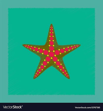 Flat shading style tropical starfish vector image