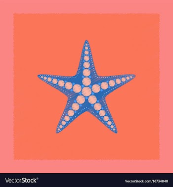 Flat shading style tropical starfish vector image