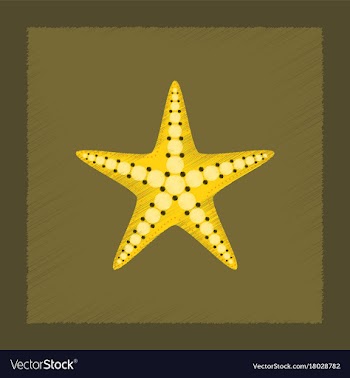 Flat shading style tropical starfish vector image