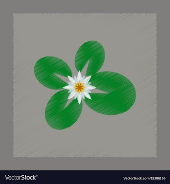 Flat shading style water lily vector image