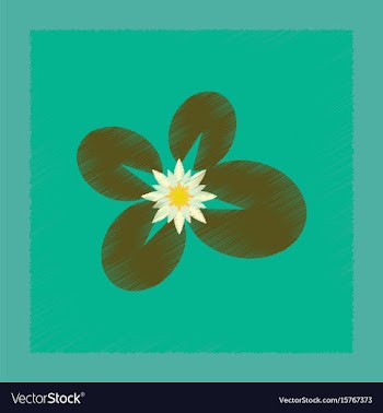 Flat shading style water lily vector image