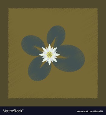 Flat shading style water lily vector image