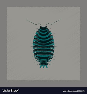 Flat shading style wood louse vector image