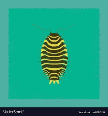 Flat shading style wood louse vector image