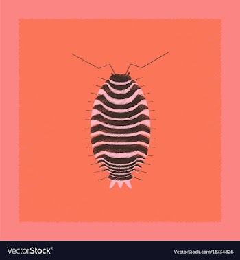Flat shading style wood louse vector image