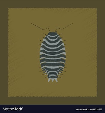 Flat shading style wood louse vector image