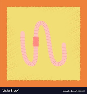 Flat shading style worm vector image