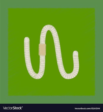 Flat shading style worm vector image