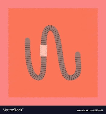 Flat shading style worm vector image