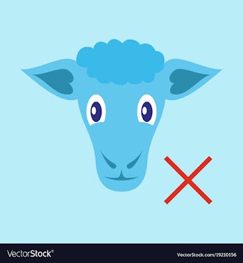 Flat sheep to fall asleep vector image