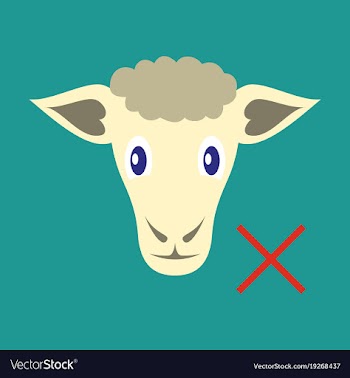 Flat sheep to fall asleep vector image
