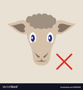 Flat sheep to fall asleep vector image