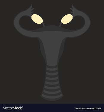 Flat showing female reproductive system vector image