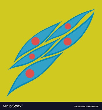 Flat showing type of muscle cells vector image