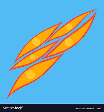 Flat showing type of muscle cells vector image