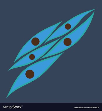 Flat showing type of muscle cells vector image