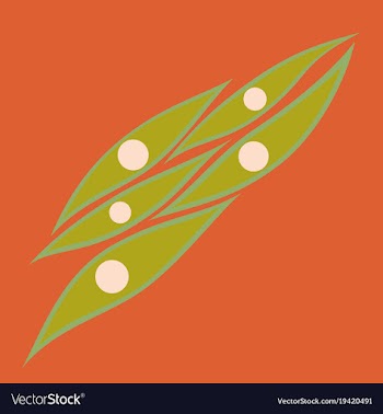 Flat showing type of muscle cells vector image