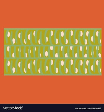 Flat showing type of muscle cells vector image