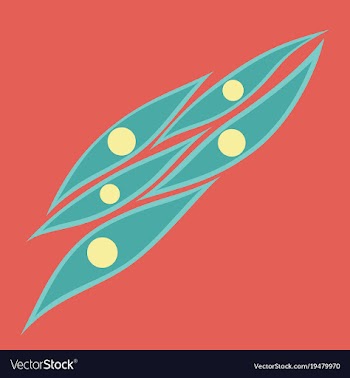 Flat showing type of muscle cells vector image