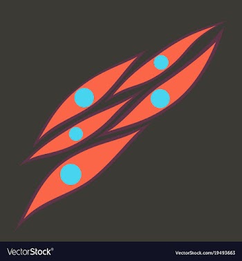 Flat showing type of muscle cells vector image